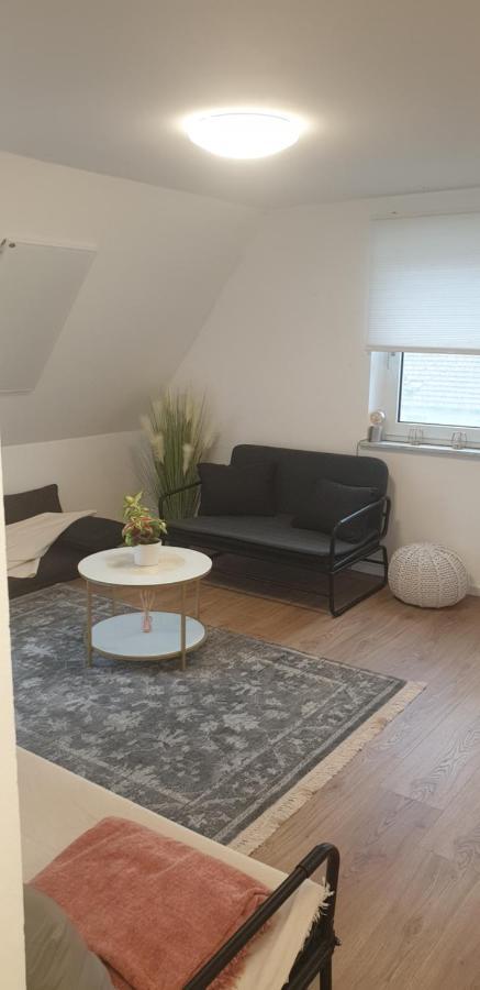 Frisch Renoviert Mit Dachterrasse - Geniesse Ruhe Und Grun Nahe Neustadt Aisch Neustadt an der Aisch Esterno foto